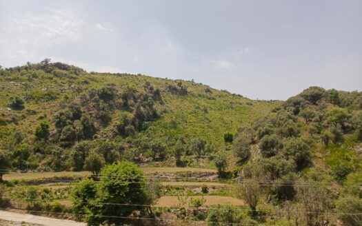 Agricultural land for sale in Khanpur