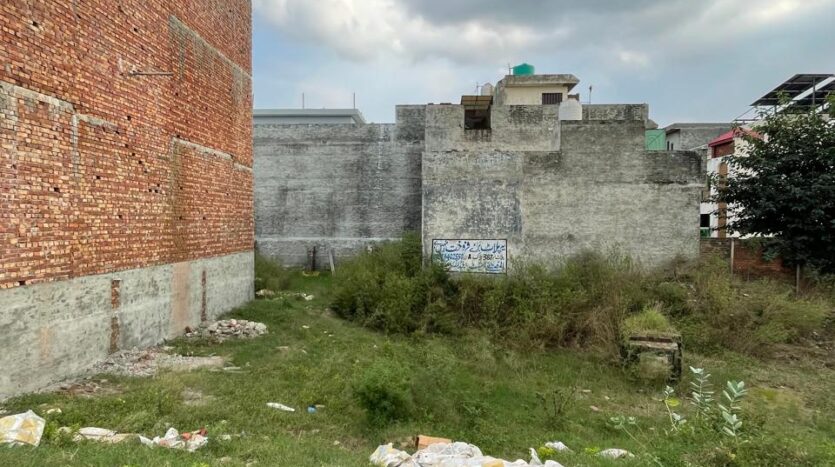 WhatsApp Image 2025 09 16 at 6.08.24 PM (2)