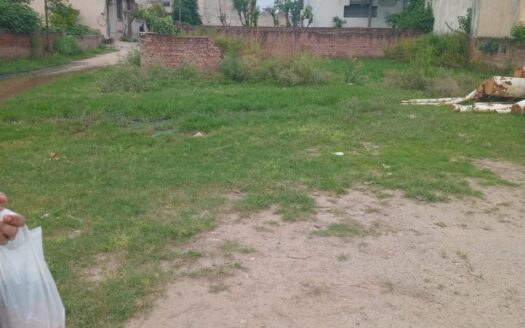 5 Marla commercial plot