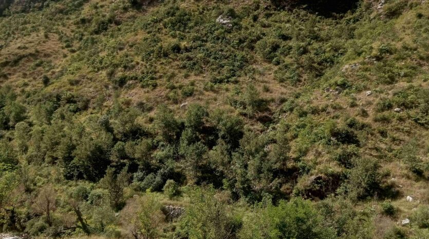 IMG 20251007 120802 523 11zon