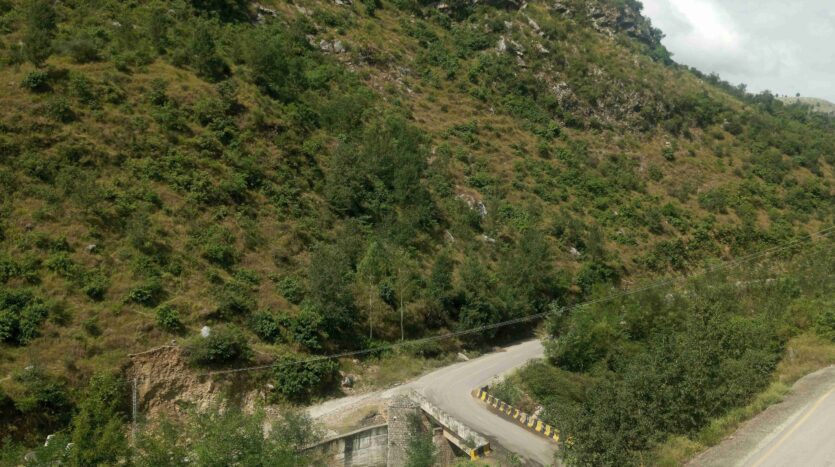 IMG 20251007 120813 610 11zon