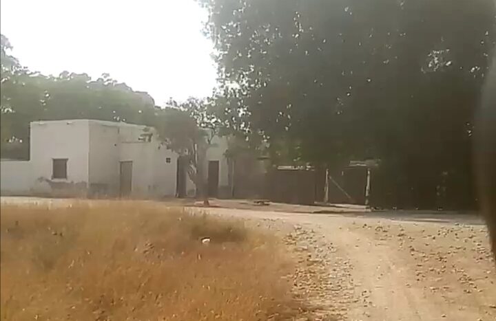 PHOTO 2025 12 29 12 08 55