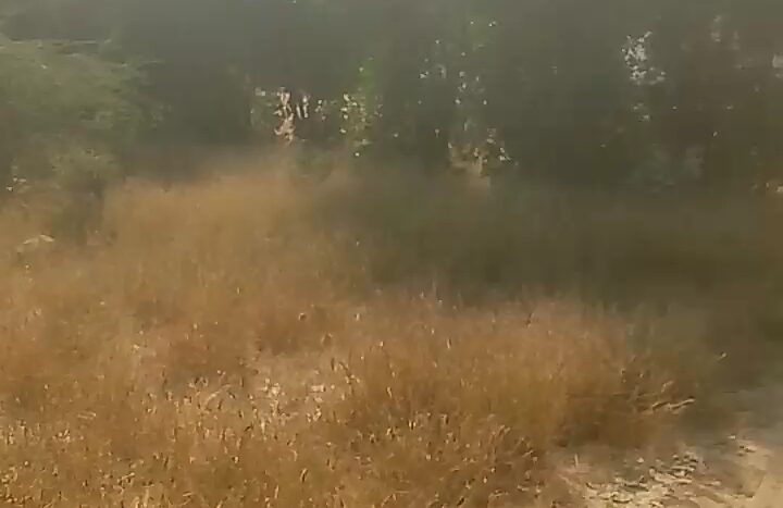 PHOTO 2025 12 29 12 08 56 (1)