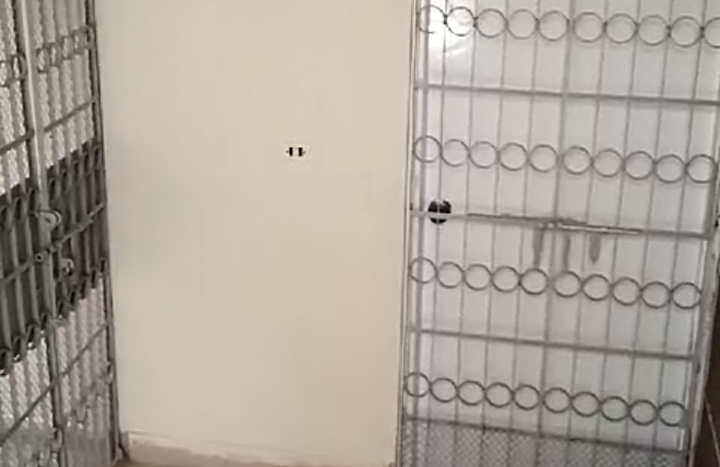 Screenshot 20260226 204520