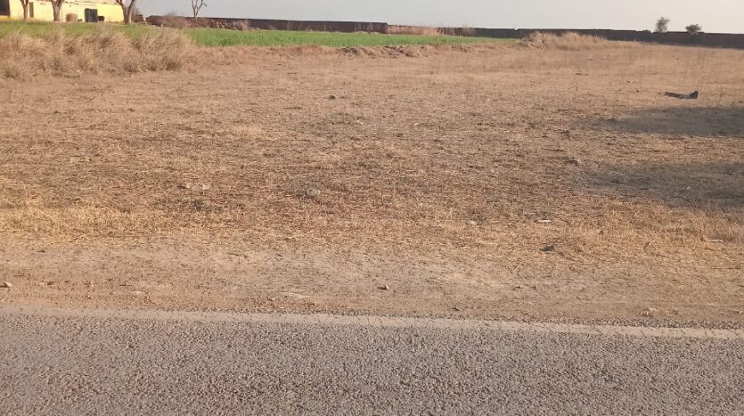 cb44fc79 07f0 436a 9964 d093dab25583