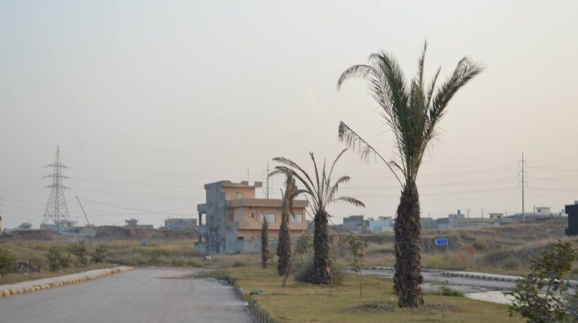 491863501 2621517581377990 686959853922557029 n