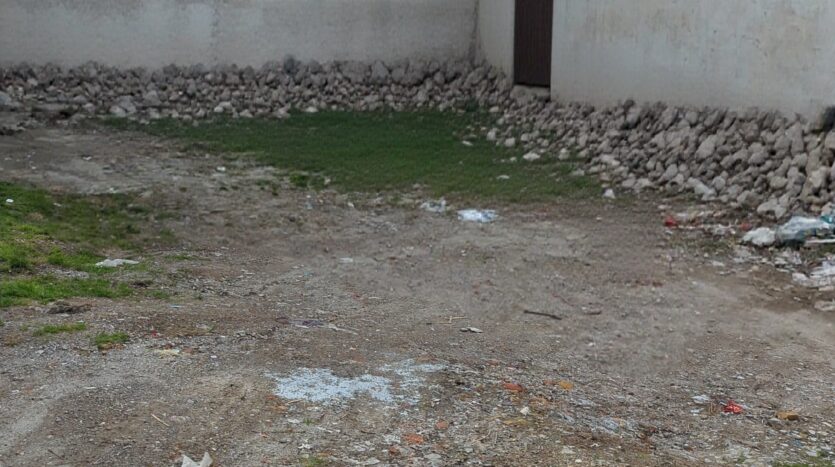 IMG 20260410 205346 417