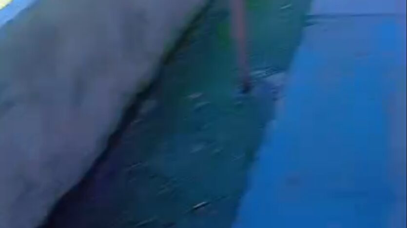 Screenshot 2026 03 29 21 34 26 53 dd712f7e47b9dd52027061ca0025c1ae