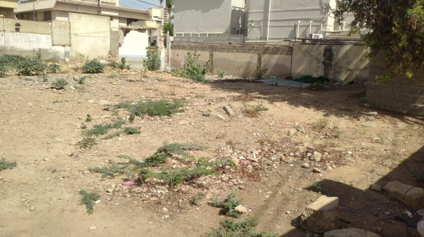 WhatsApp Image 2026 04 18 at 3.03.01 PM