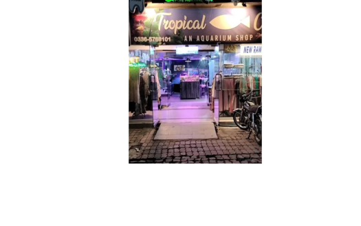 Commertial Property for rent available in Westridge Rawalpindi (Grocery Store, Fast Food, resturant, icecream & Beverges)