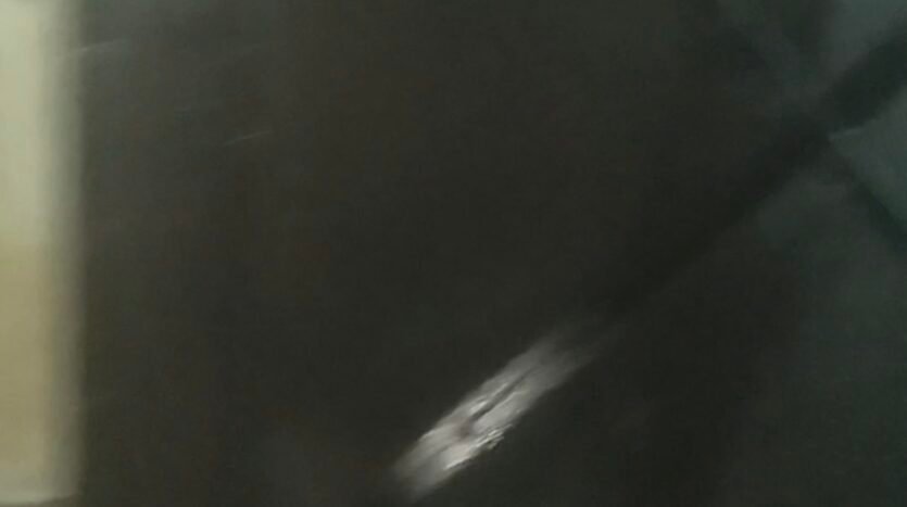 IMG 0048